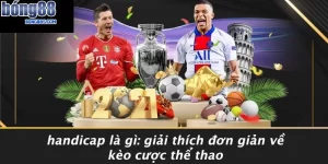 Handicap Là Gì